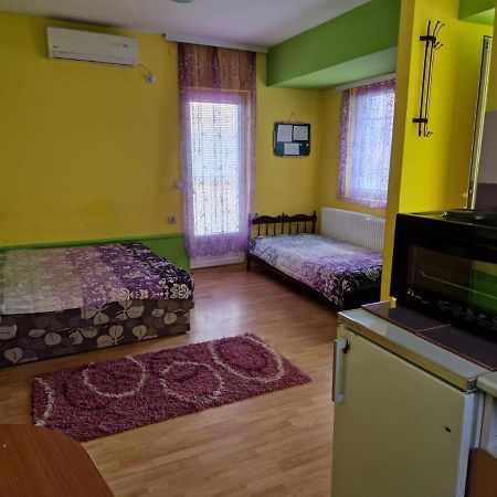 Apartments Hadzi ソコバニャ エクステリア 写真