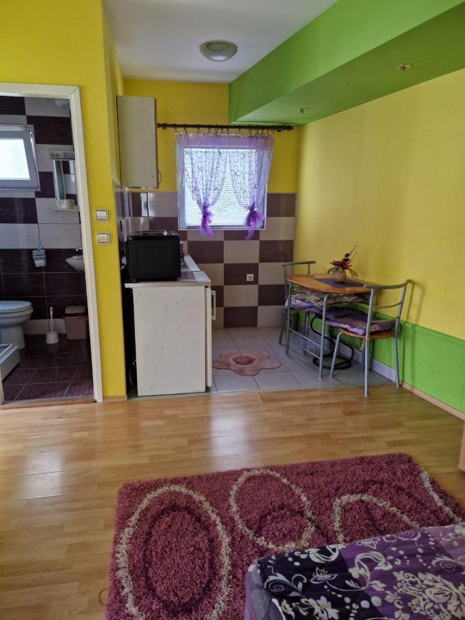 Apartments Hadzi ソコバニャ エクステリア 写真