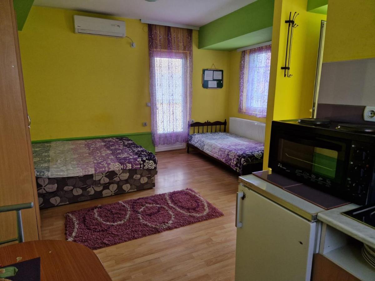 Apartments Hadzi ソコバニャ エクステリア 写真