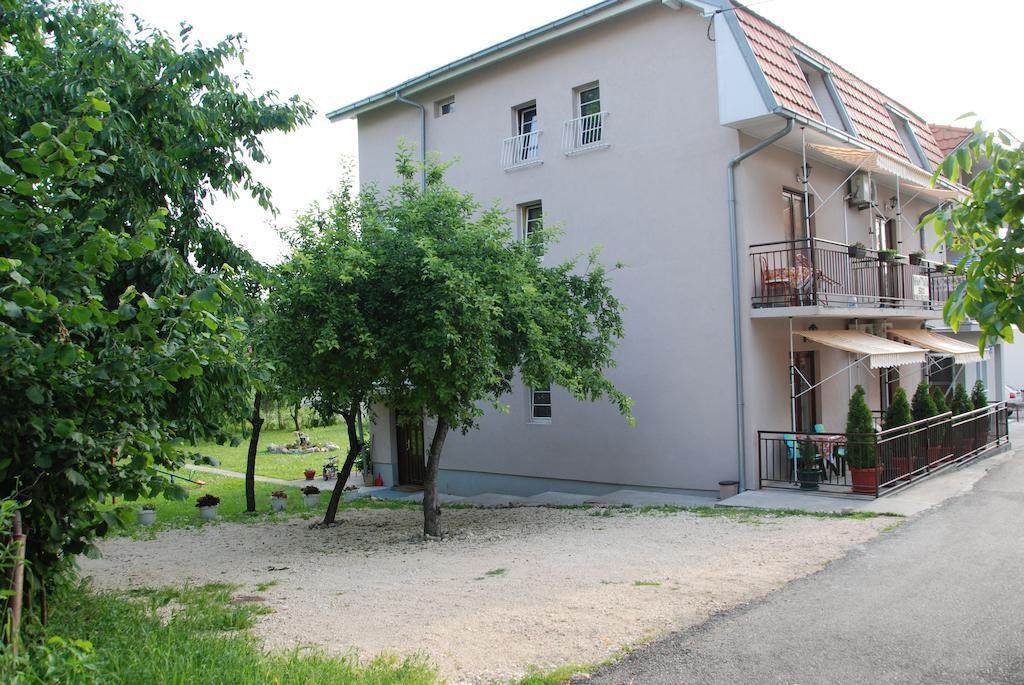Apartments Hadzi ソコバニャ エクステリア 写真