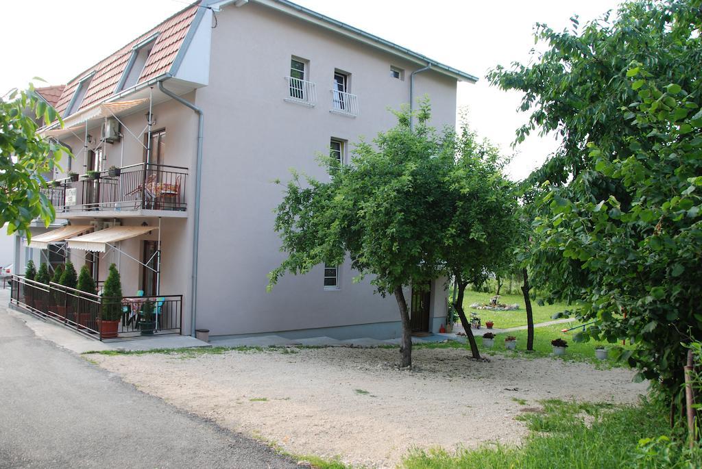 Apartments Hadzi ソコバニャ エクステリア 写真